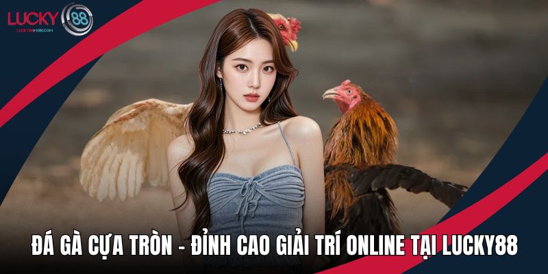 Đá gà cựa tròn