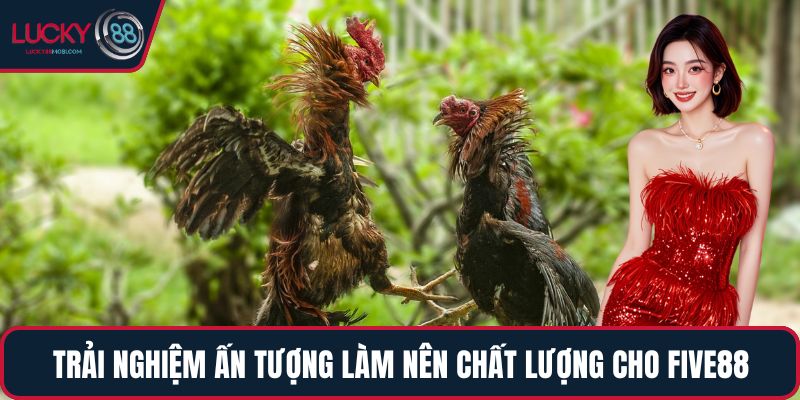 Trải nghiệm ấn tượng làm nên chất lượng cho LUCKY88