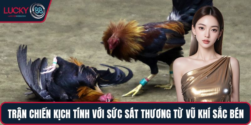 Trận chiến kịch tính với sức sát thương từ vũ khí sắc bén